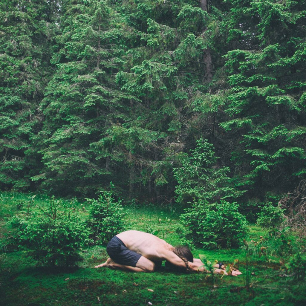 Yoga Nidra How To Stay Sane And Deeply Relax